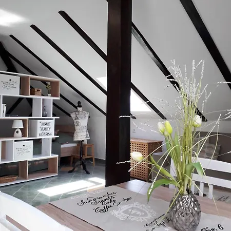 Cozy Studio Attic