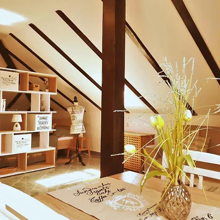 Cozy Studio Attic Apartment